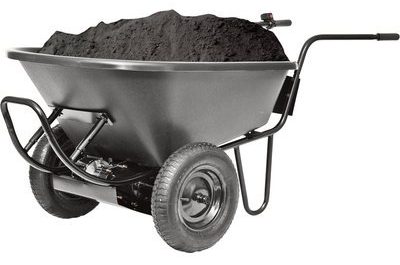  Oso asistido por energía 