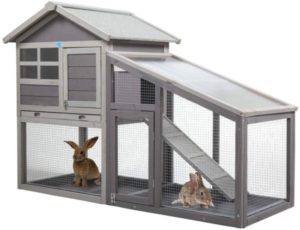 Casa de conejo 