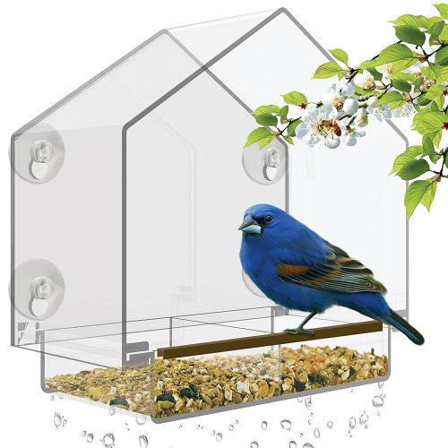 Comedero para pájaros Nature's Hangout Window