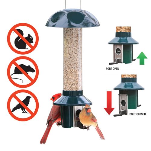 Roamwild PestOff Alimentador de alimentación a prueba de ardillas Semillas mixtas Semillas de girasol Versión en forma de ardilla A prueba de carpetas de aves