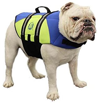 Paws Aboard BY1400 Chaleco salvavidas de neopreno para perros