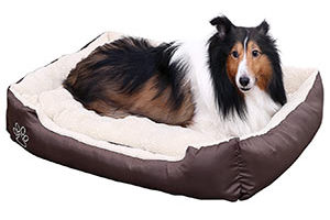 Camas para perros