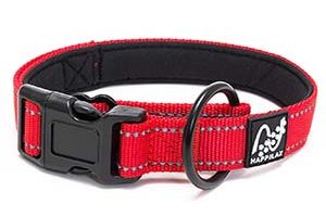 Collares para perros