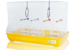 Jaulas para pájaros