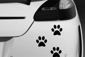 Pegatinas para coches