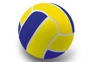 Pelotas de voley