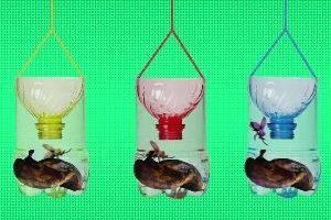 Trampas para insectos